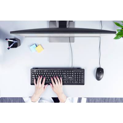 Eine Person tippt auf einer Computertastatur an einem Schreibtisch, flankiert von einem Monitor, Büromaterial und einer Pflanze.