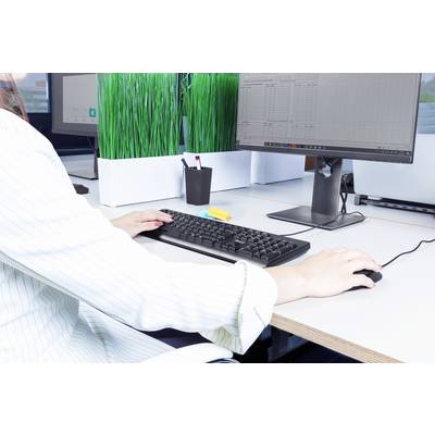 Eine Person arbeitet an einem Computer mit zwei Monitoren auf einem Schreibtisch mit Pflanzen und Bürozubehör.
