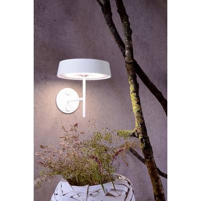 Eine weiße Wandlampe leuchtet auf einer rauen Betonwand. Daneben ein Ast und im Vordergrund eine weiße Vase mit getrockneten Gräsern.