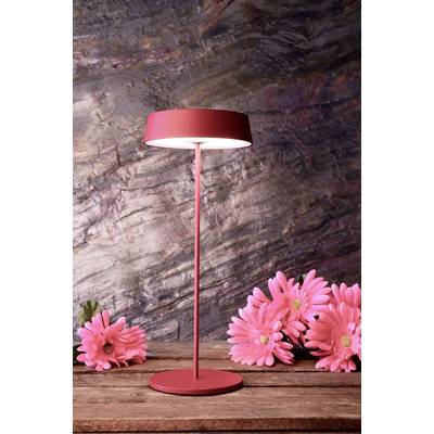 Eine rote Tischlampe leuchtet auf einem Holztisch. Daneben liegen mehrere rosa Gerbera-Blumen. Der Hintergrund ist steinartig.
