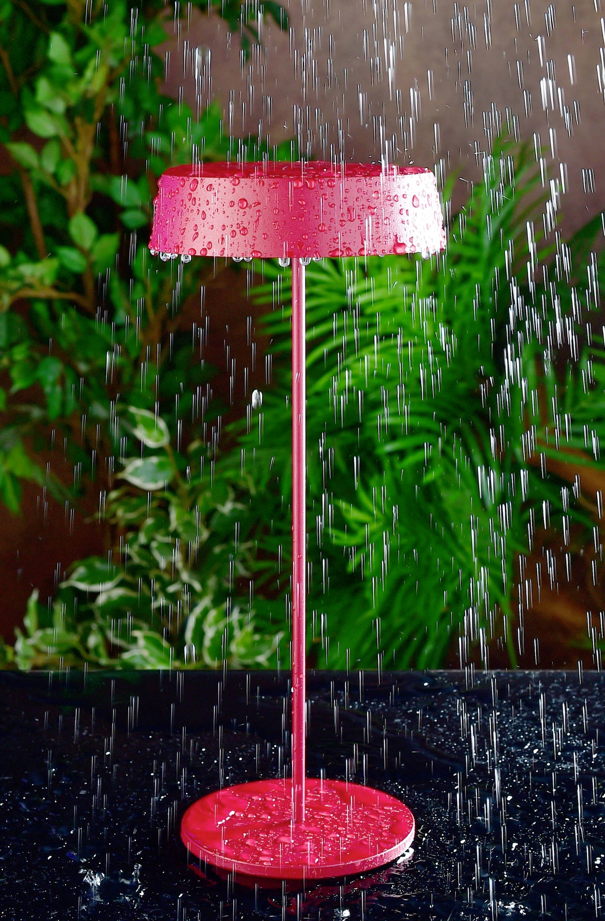 Roter stehender Lampenschirm unter Wasser, umgeben von grünen Pflanzen; visuelles Spiel von Farbe und Natur im Regen.