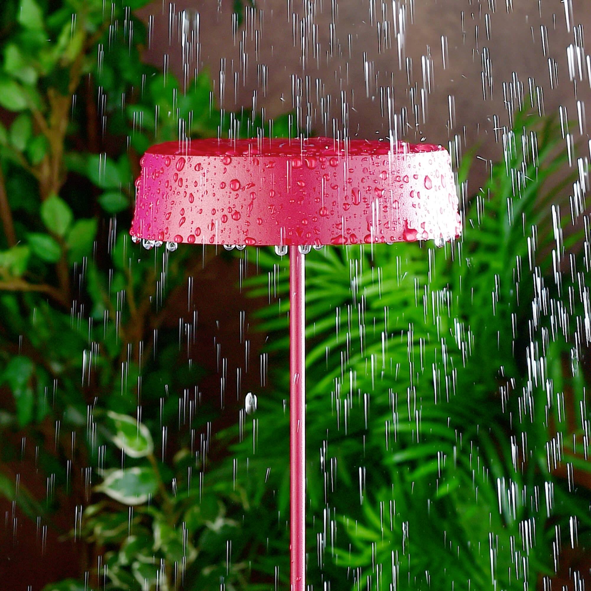 Roter Lampenschirm im Regen, umgeben von grünen Pflanzen. Wasser läuft über den Schirm, Stimmungsbild bei Regenwetter.