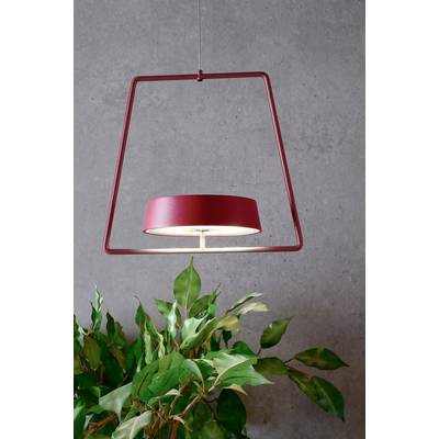 Eine rote Pendelleuchte in geometrischem Design hängt über einer Pflanze vor einer grauen Wand.