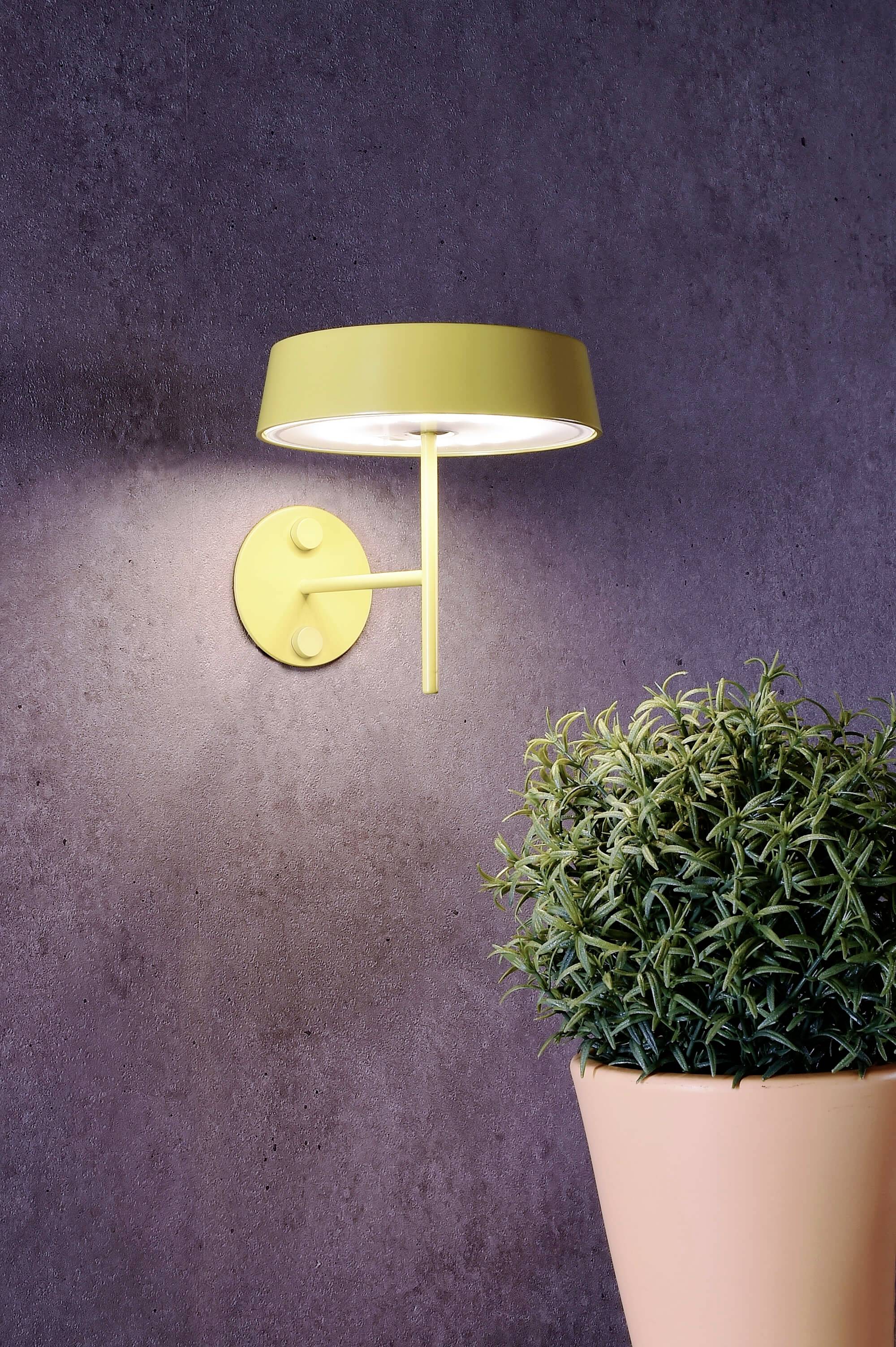 Gelbe Wandleuchte leuchtet über einem grünen Pflanzenstrauch in einem beige Blumentopf vor einer grauen Wand.