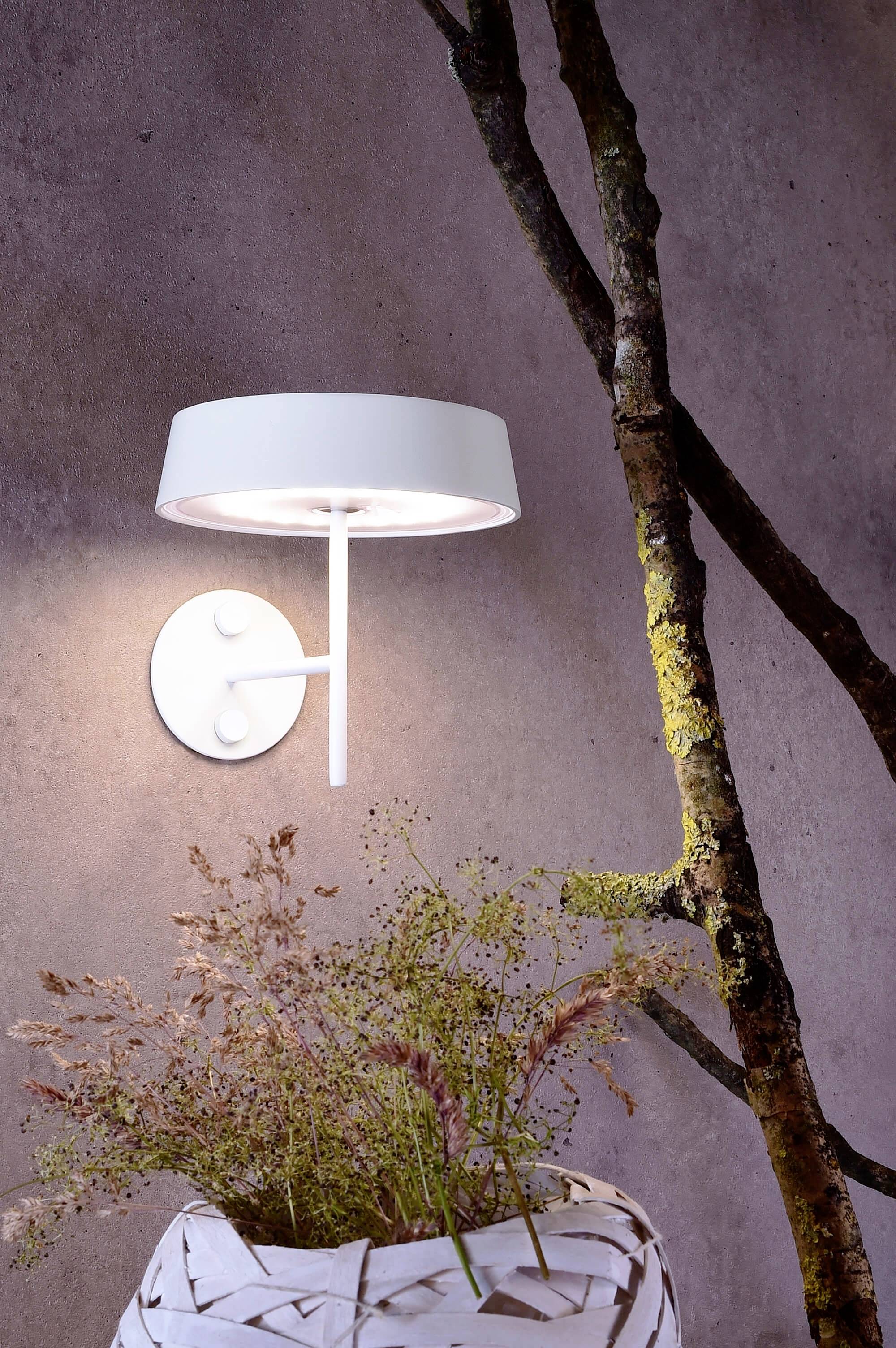 Weiße Wandlampe leuchtet neben einem Baumast auf grauer Wand. Unten im Bild ein Korb mit Gräsern und Wildblumen.