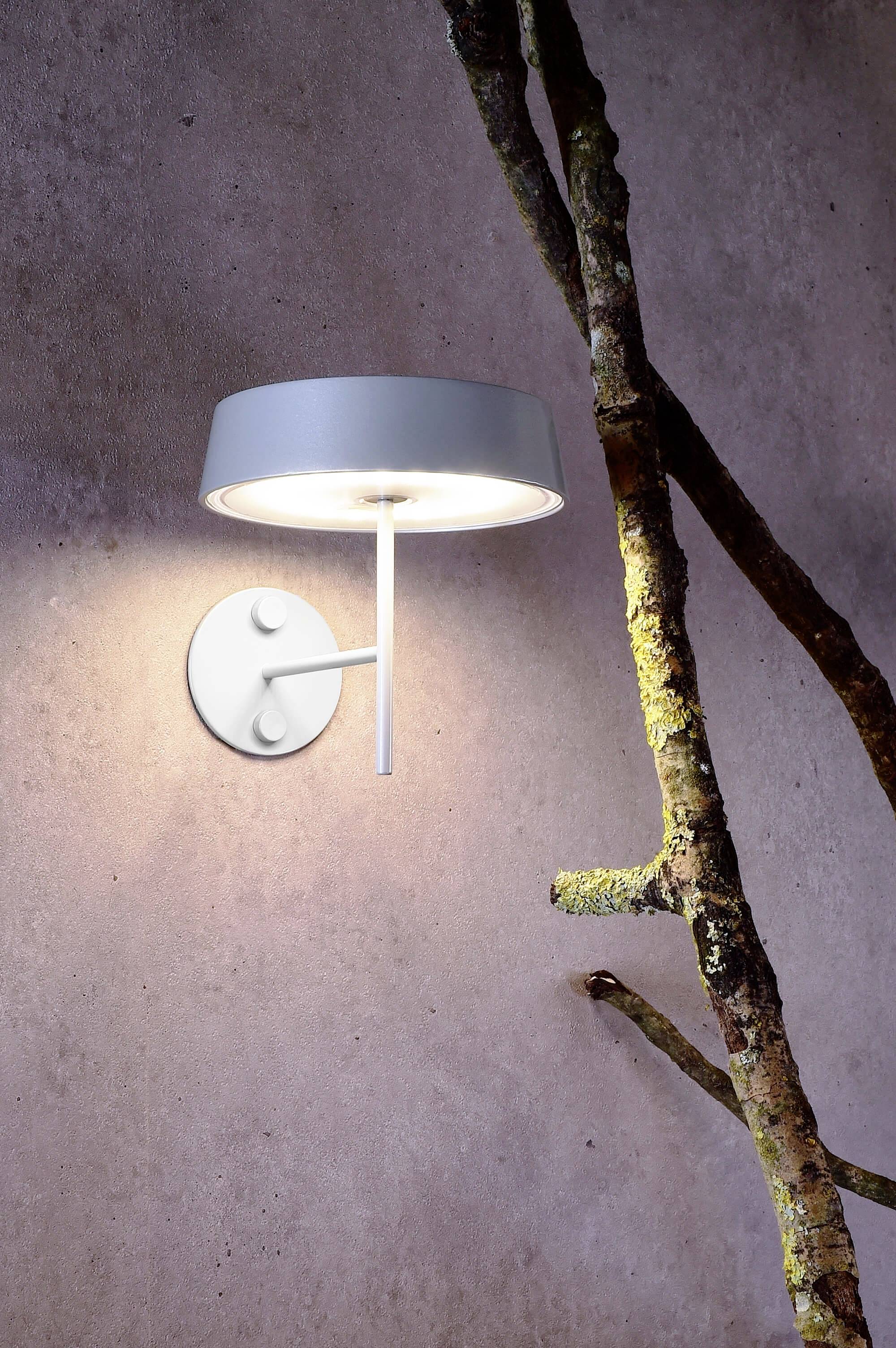 Moderne Wandlampe mit rundem Metallschirm beleuchtet eine wandnahe Baumaststruktur. Rustikaler, minimalistischer Stil.