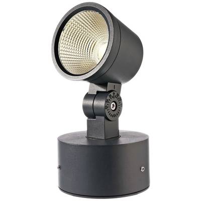 Schwarze, runde LED-Lampe mit verstellbarem Kopf, zeigt reflektierende innere Oberfläche für gerichtete Beleuchtung.