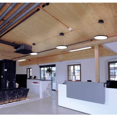 Ein modernes Büro mit Holzbalkendecke, hellen Wänden und Marmorempfangstresen. Hängelampen sorgen für eine warme Beleuchtung.