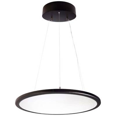Moderne, runde Hängelampe mit schwarzem Rahmen und weißem Lichtdiffusor. Hängebefestigung an zwei Drähten.
