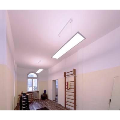 Ein heller Raum mit Turngeräten, darunter Hanteln und eine Sprossenwand. Große Fenster lassen Tageslicht herein. Teppichboden vorhanden.