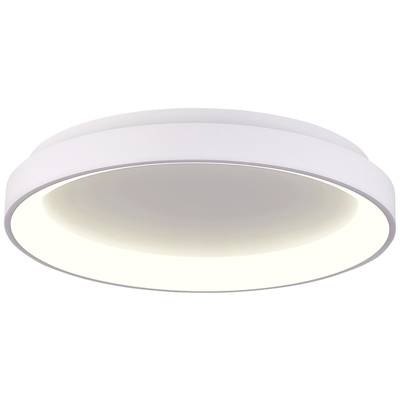 Runde, moderne Deckenleuchte mit diffuser Abdeckung, die weiches, gleichmäßiges Licht abstrahlt. Ideal für Wohn- oder Arbeitsbereiche.