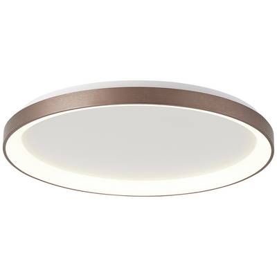 Runde, flache Deckenleuchte mit weißem Diffusor und bronzefarbenem Rand. Minimalistisches Design, gleichmäßige Lichtverteilung.
