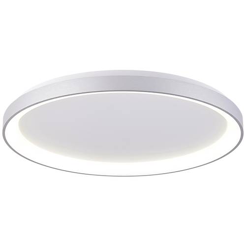 Deko Light Merope Deckenaufbauleuchte LED fest eingebaut 60 W Warmweiß, Neutralweiß Silber