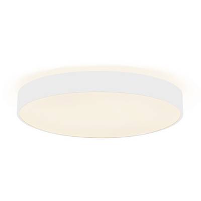 Runde Deckenleuchte mit weißem Gehäuse und weicher Lichtausstrahlung. Minimalistisches Design für moderne Innenräume.