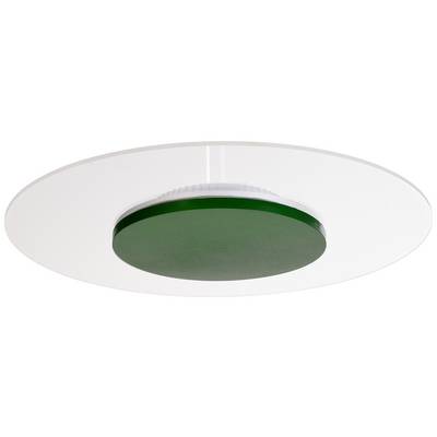 Deckenleuchte mit rundem, grünem Element in der Mitte, umgeben von einem weißen Rand. Modernes Design.