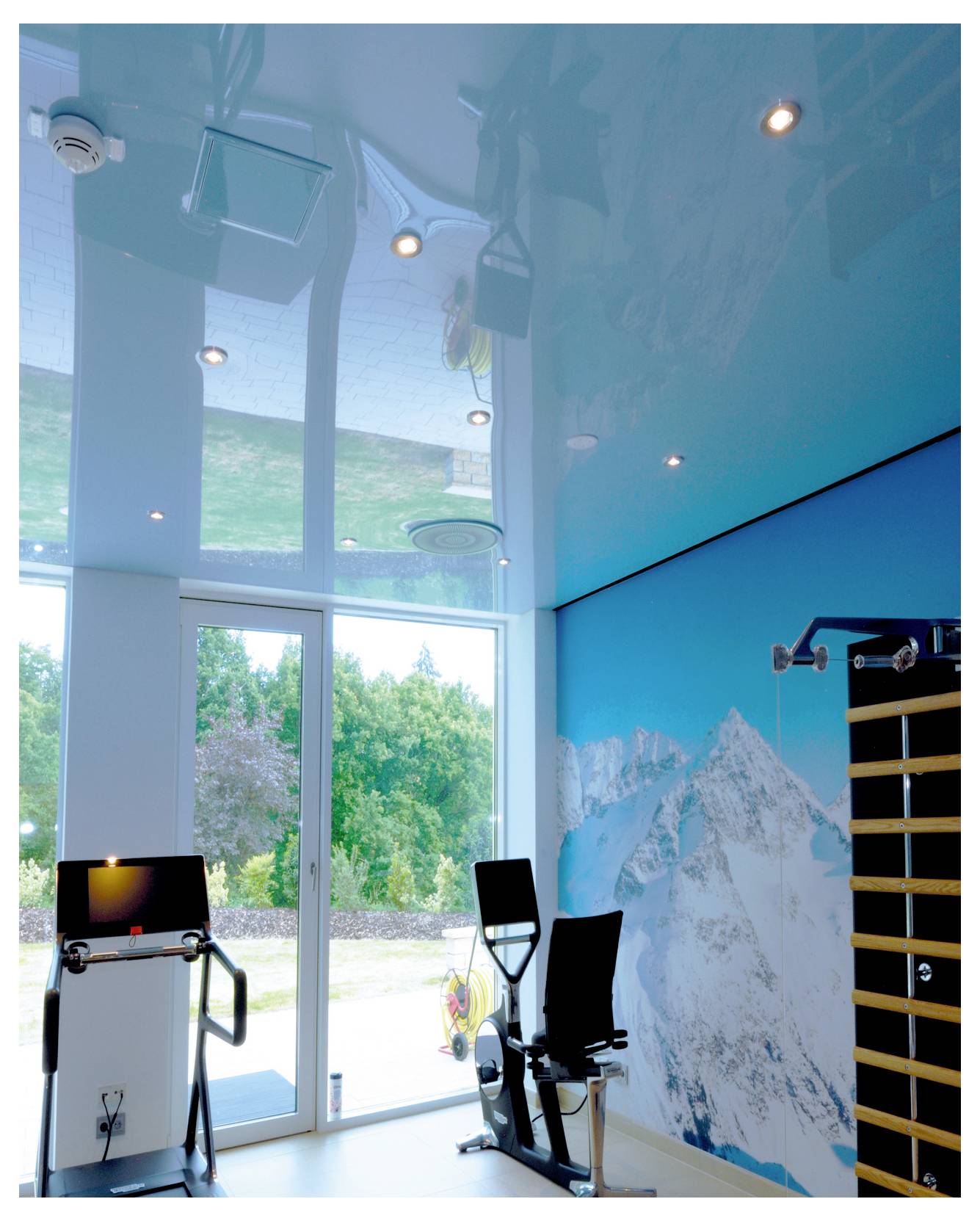 Moderner Fitnessraum mit einem Wandgemälde mit blauen Bergen, Glastüren mit Blick auf Bäume draußen und Trainingsgeräten an der Wand.