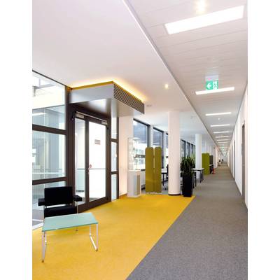 Heller Büroflur mit gelbem Teppich, Glaswänden und einem Ausgang hinten links. Vereinzelt Bürostühle und Pflanzen entlang des Korridors.