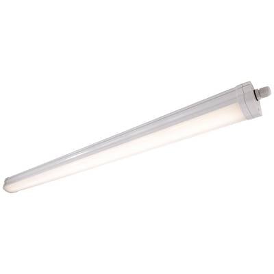Lange, weiße LED-Leuchtstoffröhre mit diffuser Abdeckung. Geeignet für industrielle oder gewerbliche Beleuchtung.