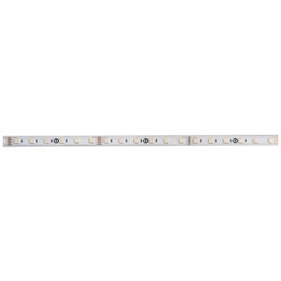LED-Streifen mit gleichmäßig angeordneten Dioden und Widerständen auf weißem Hintergrund.