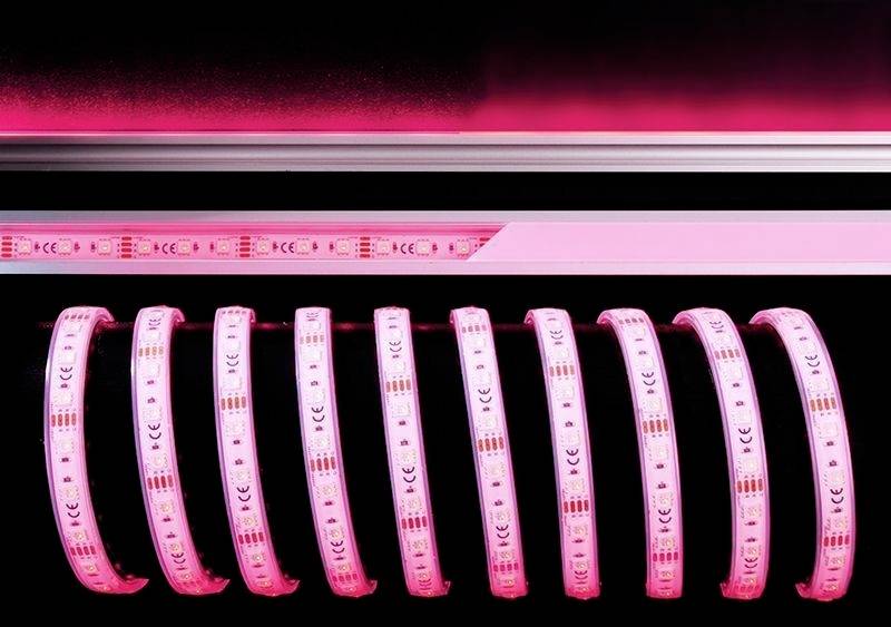 Einige pink leuchtende LED-Streifen sind nebeneinander aufgereiht und strahlen ein intensives Licht aus.