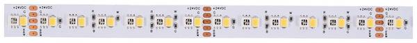 Deko Light  840308 LED-Streifen EEK: G (A - G) mit offenem Kabelende 24 V/DC 5000 mm RGB, Warmweiß  5 m