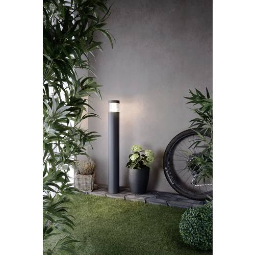 Deko Light Ortis 733004 Außenstandleuchte LED LED fest eingebaut 15.90 W EEK: G (A - G) Dunkelgrau