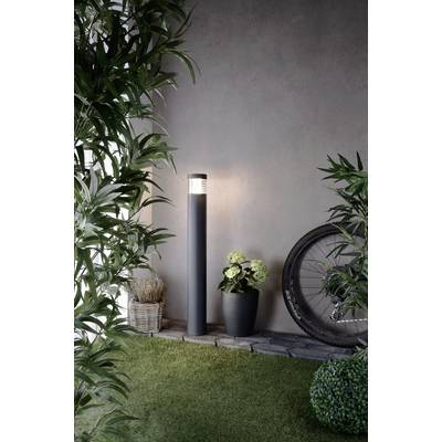 Eine Stehlampe beleuchtet eine Ecke mit grünen Pflanzen, einem Eimer voller Kieselsteine und einem Fahrradreifen gegen eine graue Wand.