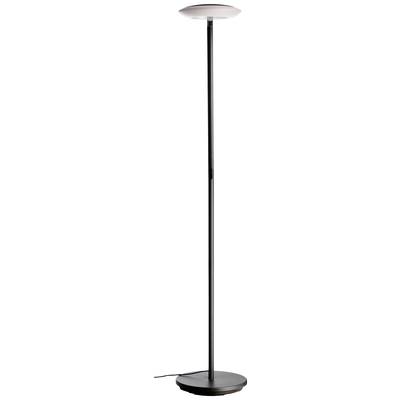 Schwarze Stehlampe mit runder, weißer Leuchte oben. Schlichtes, modernes Design. Geeignet für Wohnzimmer oder Büro.
