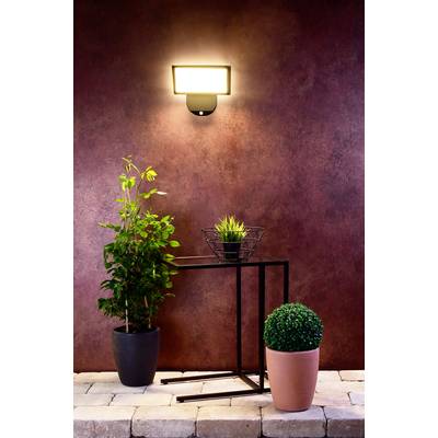 Eine schwarze Wandlampe leuchtet auf zwei grüne Pflanzen in Töpfen und einen kleinen Tisch aus Metall vor einer roten Wand.