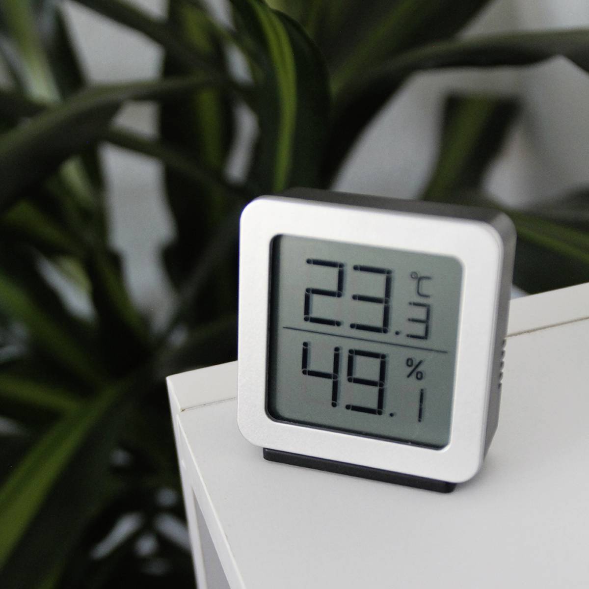 Ein digitales Thermo-Hygrometer zeigt 23°C und 49% Luftfeuchtigkeit an, auf einem Tisch neben Pflanzen platziert.