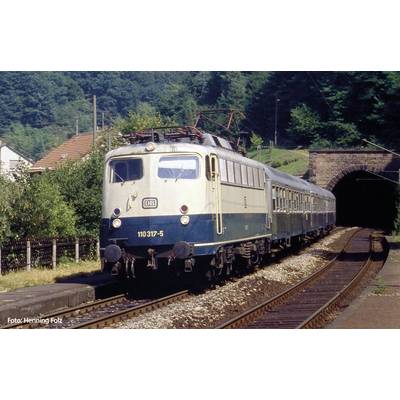 Zug der Deutschen Bahn fährt aus einem Tunnel heraus, umgeben von Bäumen und Häusern. Lokomotive hat die Nummer 110 317-5.