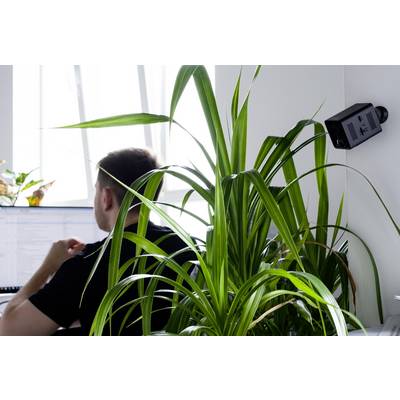 Ein Mann arbeitet am Computer in einem Büro, eine grüne Pflanze steht im Vordergrund.