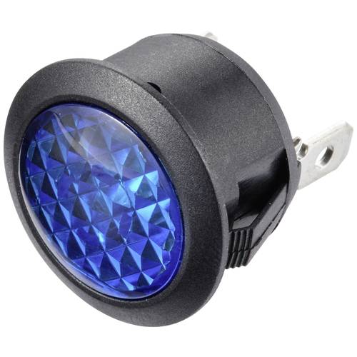 TRU COMPONENTS TC-11193852 Standard Signalleuchte mit Leuchtmittel 24 V/DC Blau 1 St.