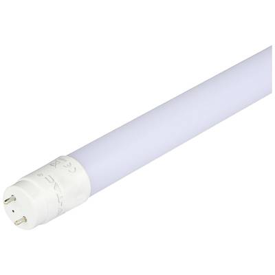 Eine weiße LED-Röhrenlampe mit zwei Metallstiften an einem Ende, geeignet für Leuchten mit entsprechender Fassung.