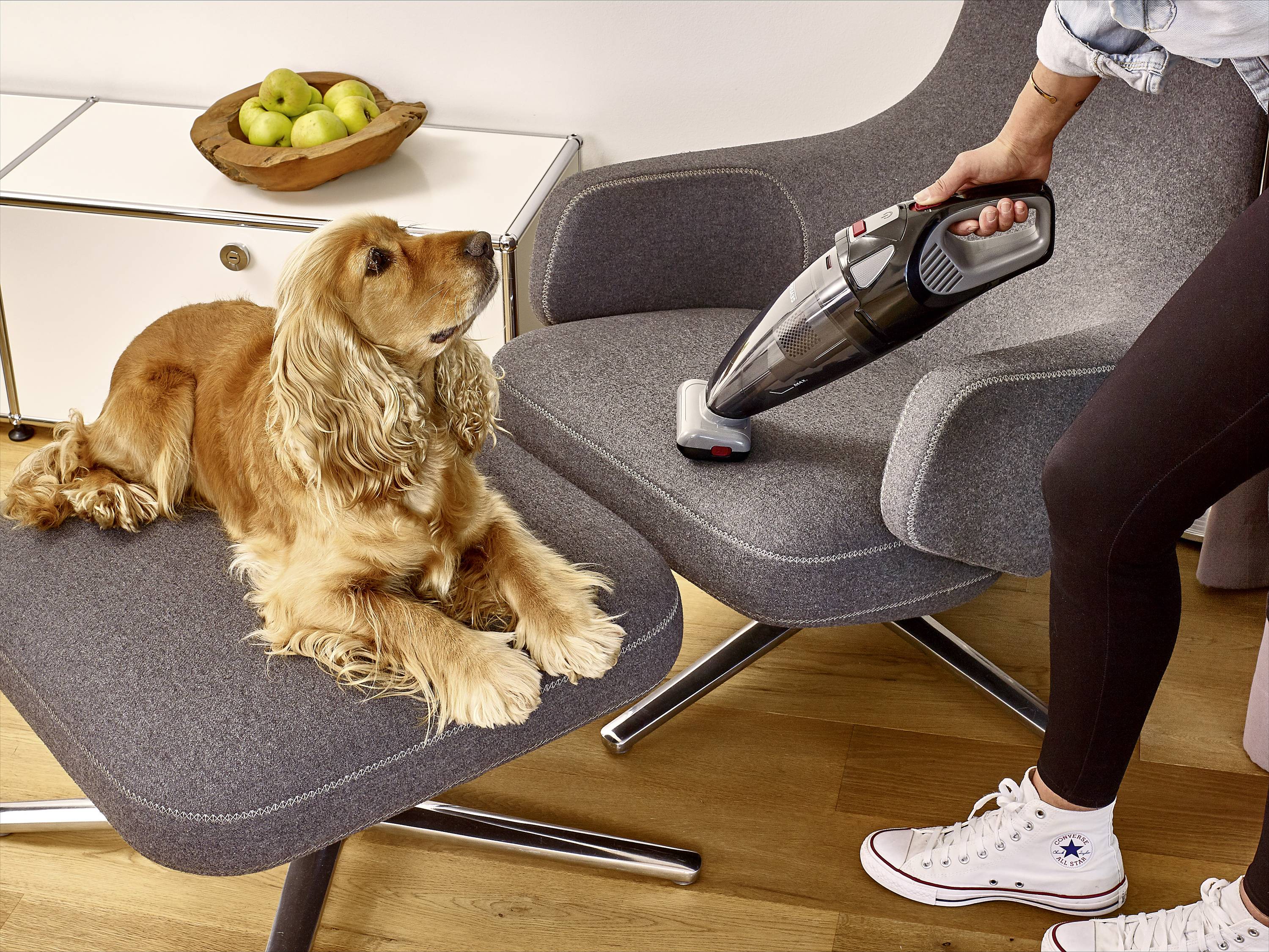 Ein Hund sitzt auf einem Sessel, während eine Person mit einem Handstaubsauger den Sessel reinigt. Ein Korb mit Äpfeln steht im Hintergrund.