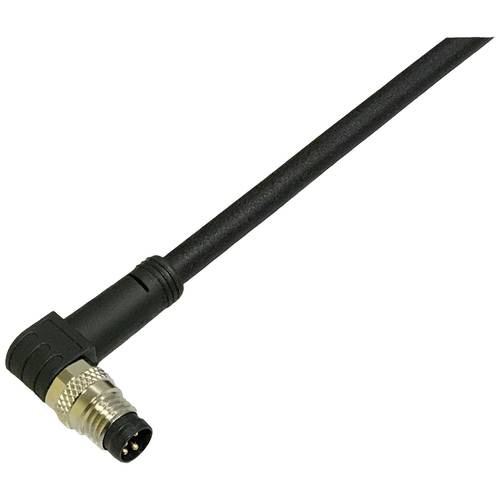 BKL Electronic 2700033 Sensor-/Aktor-Anschlussleitung M8 Stecker, gewinkelt 2 m Polzahl Sensoren: 4.5 1 St.