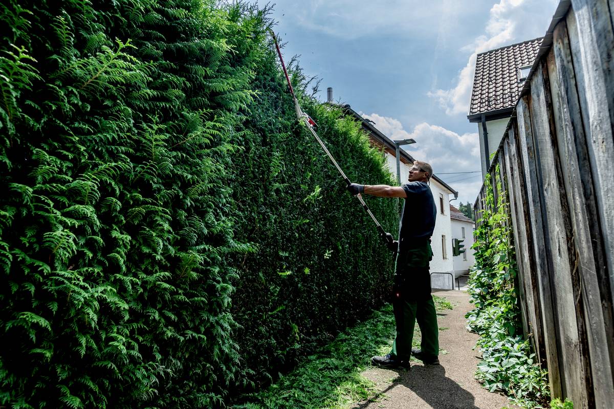 Metabo 601726850 Akku Heckenscheren-Vorsatz 18 V-5