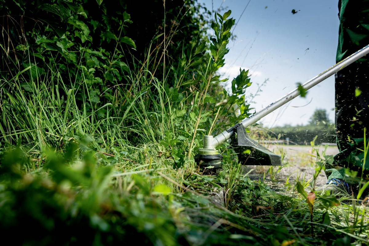 Eine Person trimmt mit einem Rasentrimmer das Gras an einem sonnigen Tag. Im Hintergrund sind Büsche und ein klarer Himmel zu sehen.
