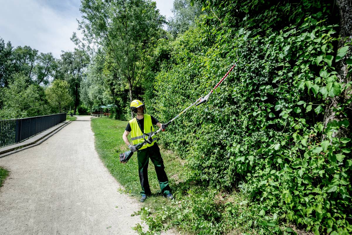 Person in Schutzkleidung schneidet mit einer Motorsense Büsche entlang eines Gehwegs. Hintergrund zeigt einen parkähnlichen Bereich.