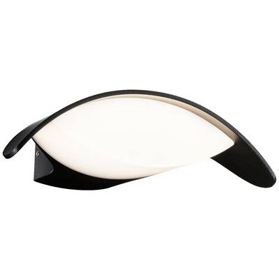 Eine moderne Wandleuchte mit ovalem, elegant geschwungenem Design und schwarzem Rand, die diffuses Licht abstrahlt.