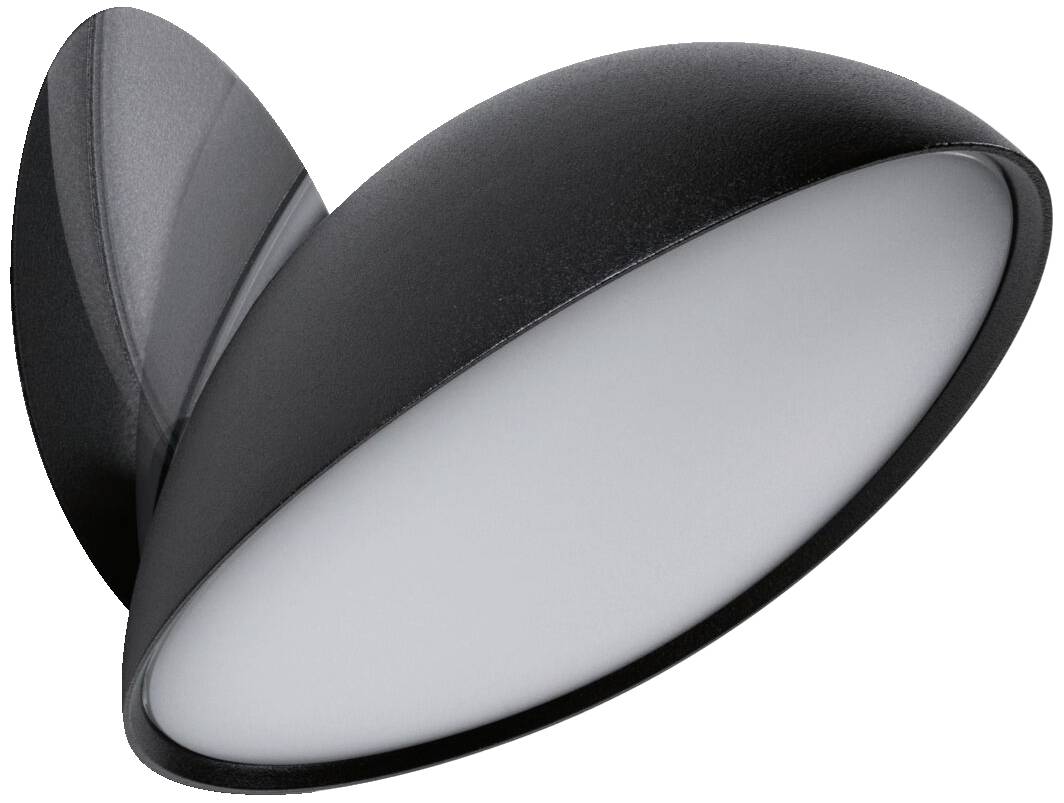 Schwarze, wandmontierte LED-Außenleuchte mit ovalem, nach unten geneigtem Design für gezielte Beleuchtung ohne Blendung.