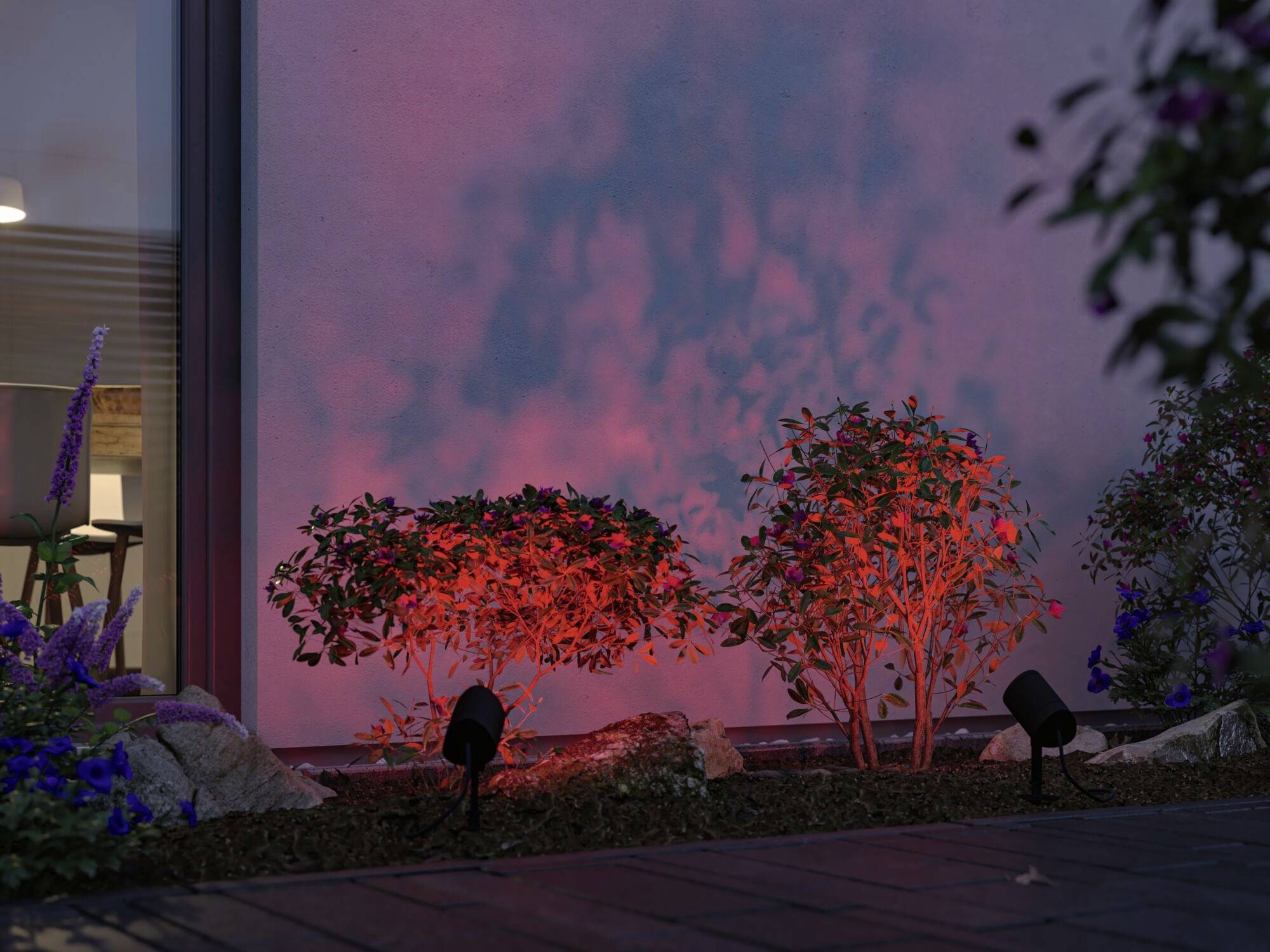 Beleuchtete Gartensträucher vor einer Wand mit roten Lichteffekten werfen dekorative Schattenspiele.