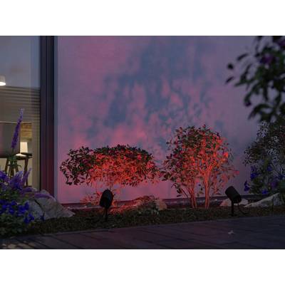 Beleuchtete Gartensträucher vor einer Wand mit roten Lichteffekten werfen dekorative Schattenspiele.