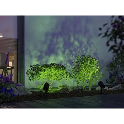 Zwei beleuchtete Büsche in einem Garten bei Nacht, links ein Fenster mit Lichteinfall. Bodenleuchten werfen grünes Licht auf die Pflanzen.