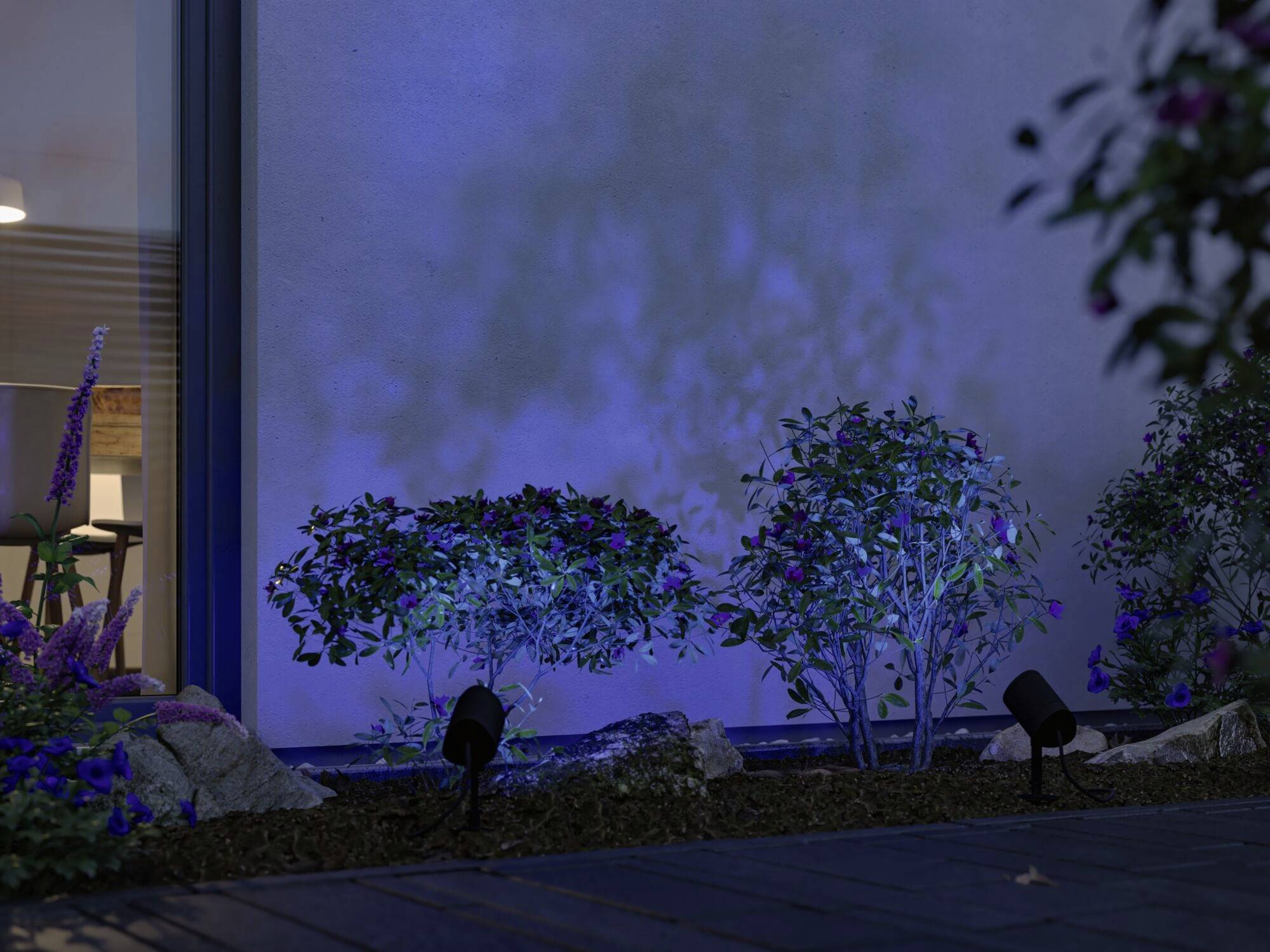 Beleuchtete Büsche in einem Garten. Zwei Strahler werfen blaues Licht auf die Pflanzen, schaffen eine stimmungsvolle Atmosphäre.