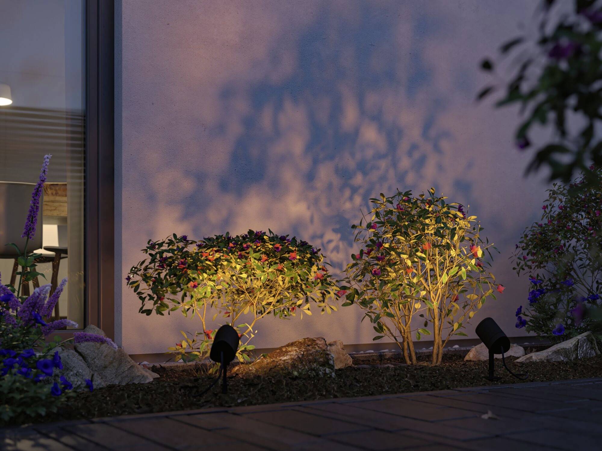 Zwei beleuchtete Sträucher im Garten bei Dämmerung, werfen Schatten an eine Hauswand. Dämmerung sorgt für stimmungsvolle Atmosphäre.