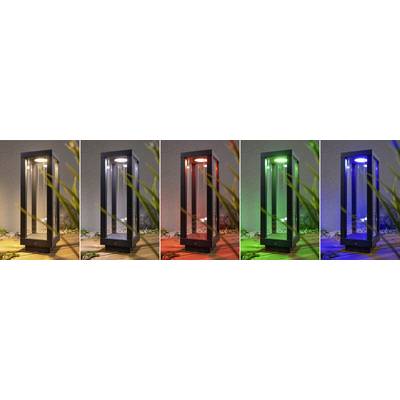 Fünf moderne Außenleuchten in verschiedenen Farben: Weiß, Rot, Grün, Blau und Violett. Die Lampen stehen nebeneinander auf einer Terrasse.