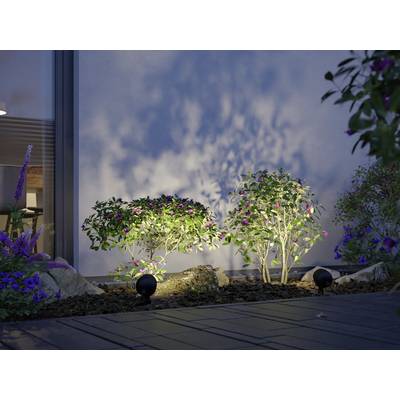 Garten mit kleinen Sträuchern, abends beleuchtet, wirft Schatten an eine Hauswand. Im Vordergrund: Pflastersteine.