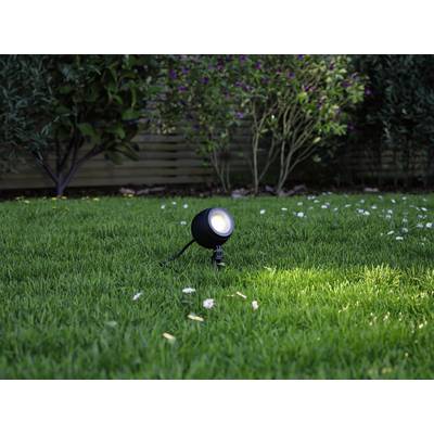 Eine schwarze Außenlampe leuchtet auf einem grünen Rasen, umgeben von Blumen und Büschen im Hintergrund.