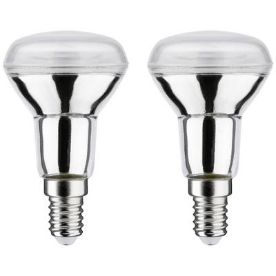 Zwei silberne Glühlampen mit Edison-Schraubsockeln, nebeneinander stehend, auf weißem Hintergrund.